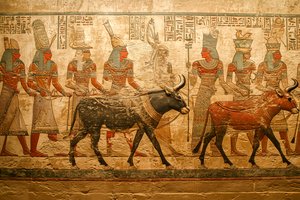 Procession of Cattle and Figures in Ancient Egyptian Relief