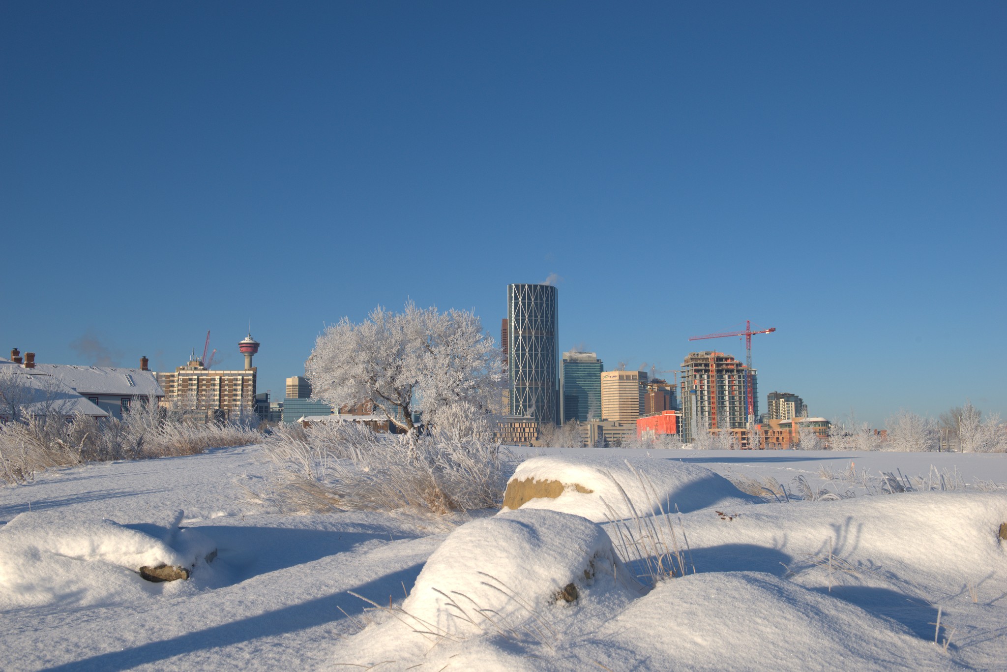 Calgary-Snow_Sun-35.NEF