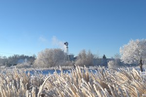 Calgary-Snow_Sun-40.NEF