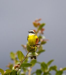 RZ9_9623.jpg