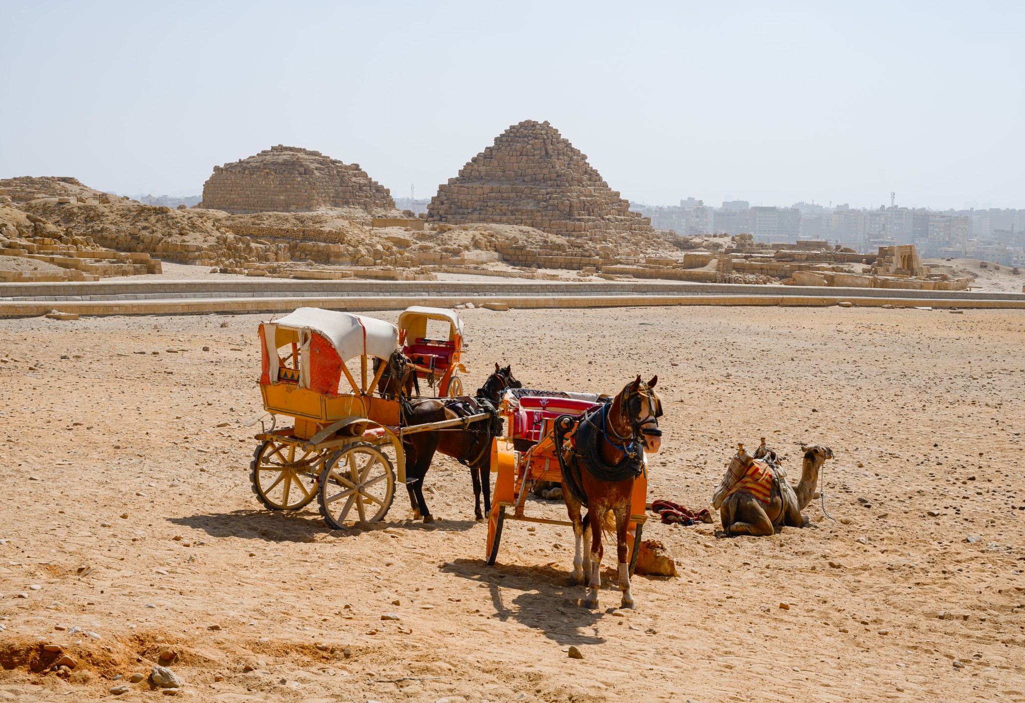 Giza Desert: Horse-Drawn Carriages Before Ancient Wonders