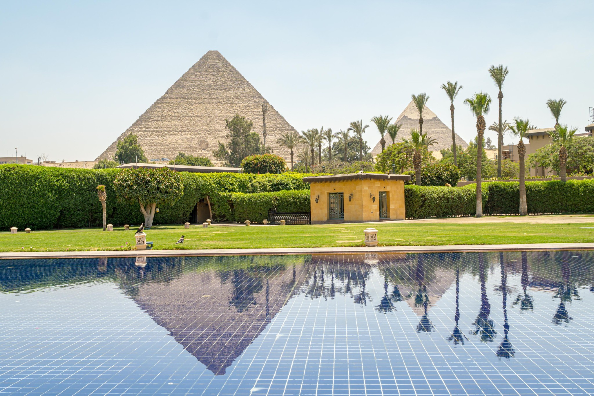 Giza Pyramids Reflected in Luxurious Poolside Oasis