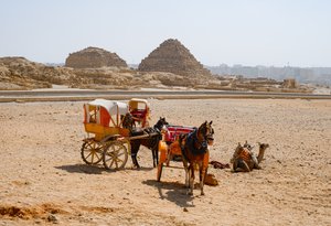 Giza Desert: Horse-Drawn Carriages Before Ancient Wonders