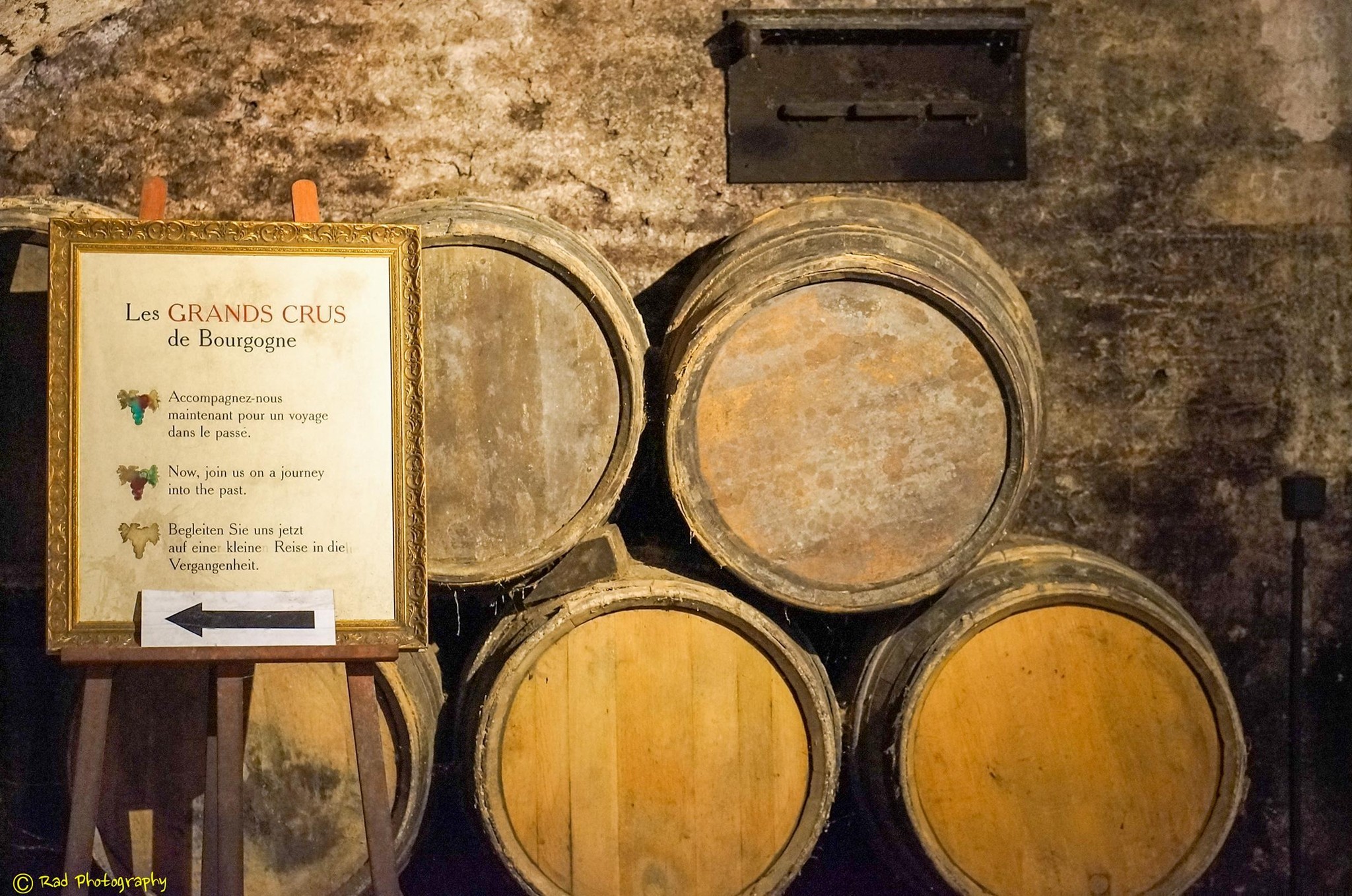 Bourgogne Cellar: An Invitation to the Past