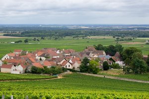Burgundy Village Amongst Vineyards: A French Countryside View