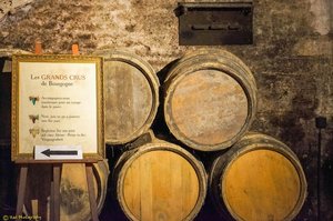 Bourgogne Cellar: An Invitation to the Past