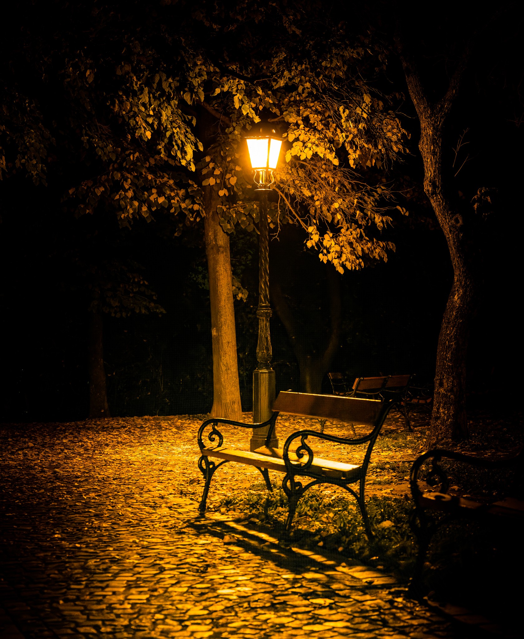 _RZ93253-NEF_DxO_DeepPRIME-2.jpg