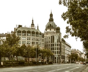 _RZ91212-NEF_DxOed-Edit-20221031.jpg