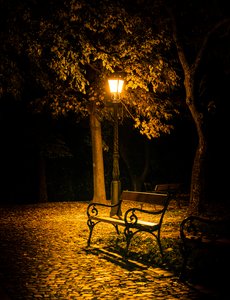 _RZ93253-NEF_DxO_DeepPRIME.jpg