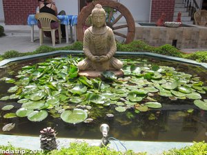 Serene Buddha Pond in India: A Peaceful Garden Scene