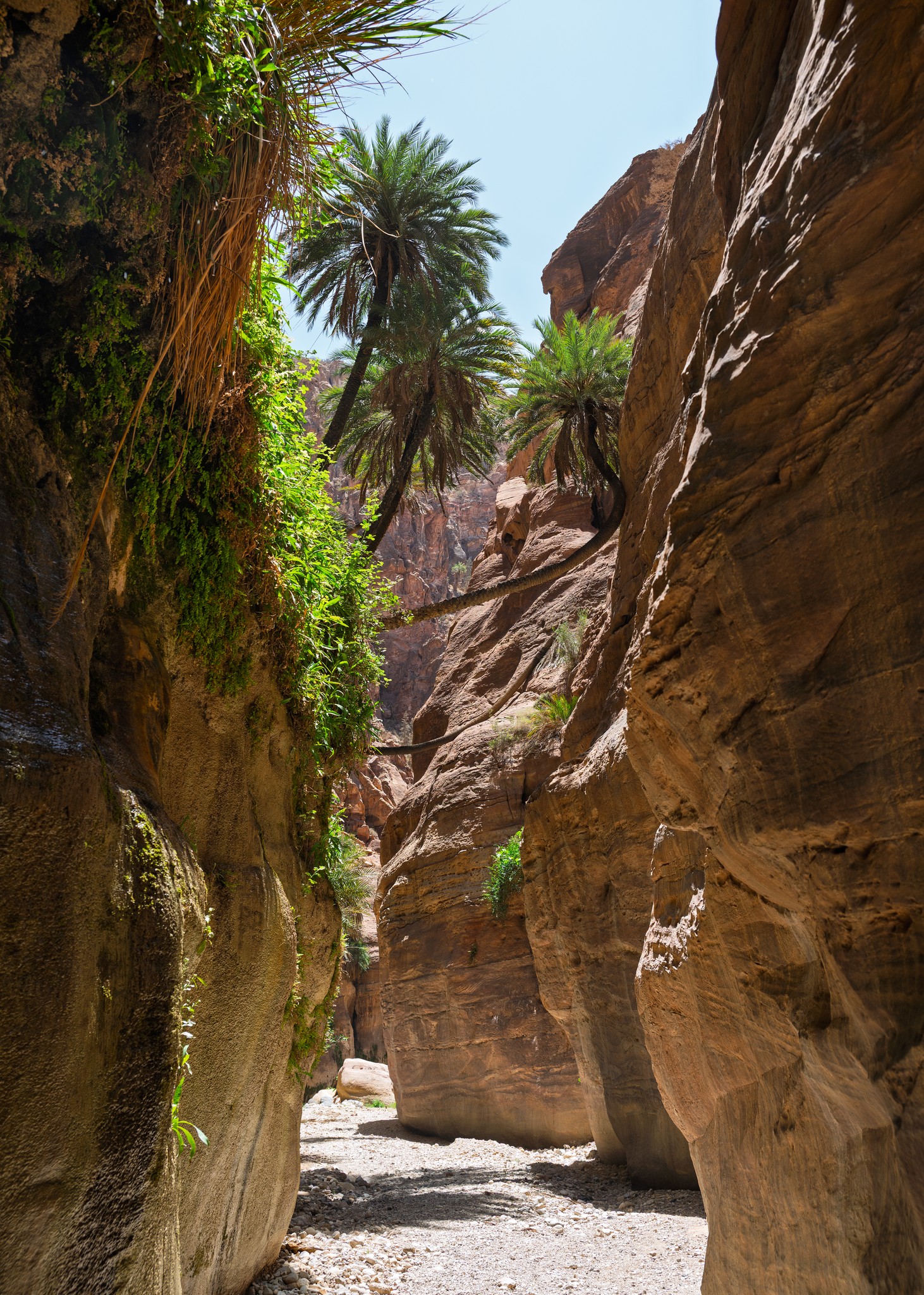 Narrow Canyon Hike Through Jordan's Stunning Wadi