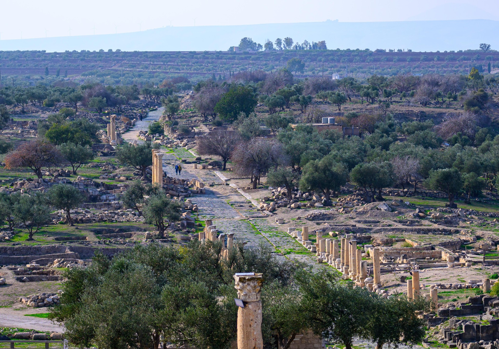 Ancient Roman Ruins at Umm Qais Overlook the Jordan Valley