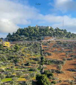 Jordanian Hillsides and Ancient Castle Views