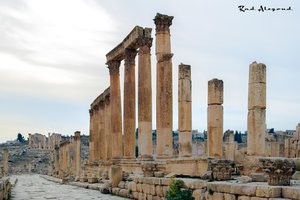 Majestic Columns of Jerash: A Glimpse into Jordan's Roman Past