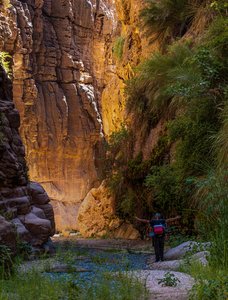 Siq Al-Barid: Hidden Canyon Majesty in Jordan