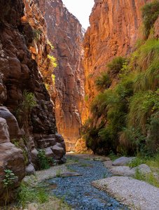 Siq Al-Barid: Jordan’s Hidden Canyon Oasis