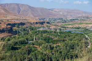 Jordanian Valley Vista: Lush Greenery Amidst Arid Hills