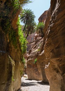 Narrow Canyon Hike Through Jordan's Stunning Wadi