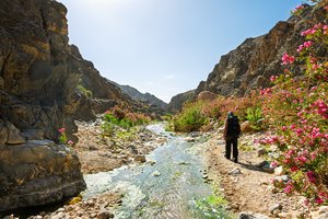Hiking Through the Colorful Wadi of Jordan