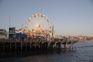 _DSC2613.NEF