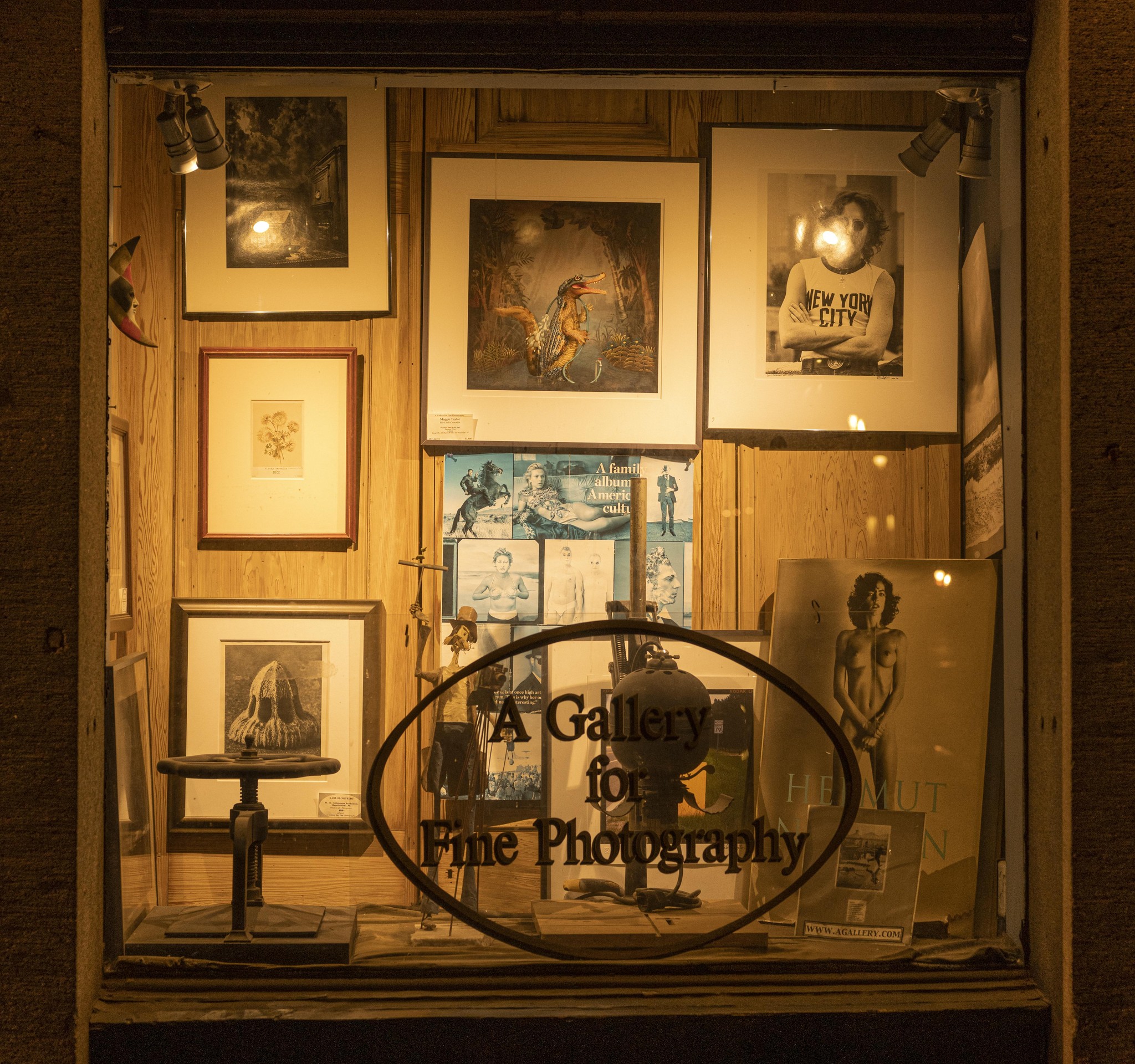 New Orleans Gallery Window: A Nostalgic Collection of Art