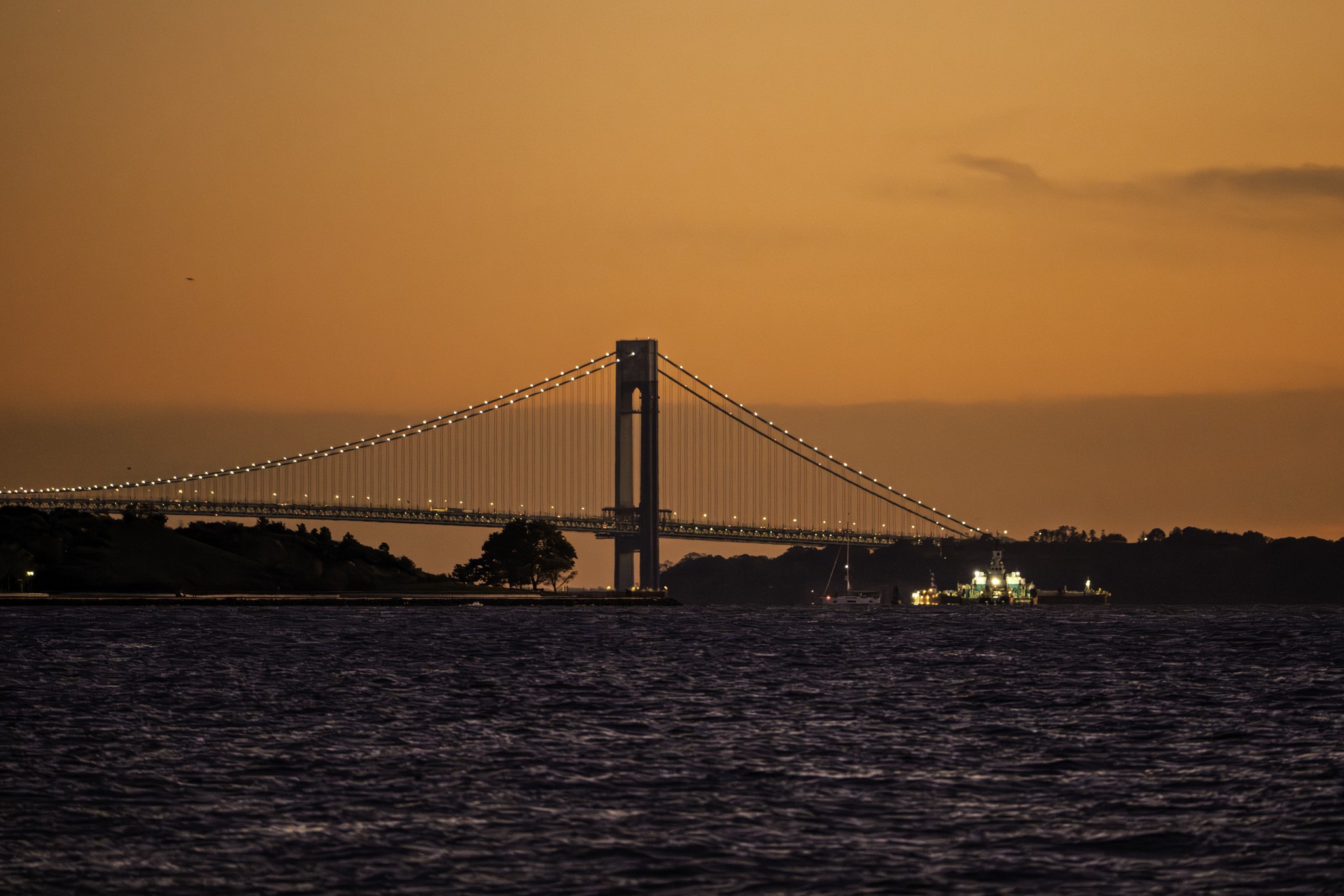 DSC7477-Enhanced-NR.jpg