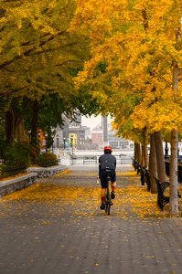 DSC7617-Edit.jpg