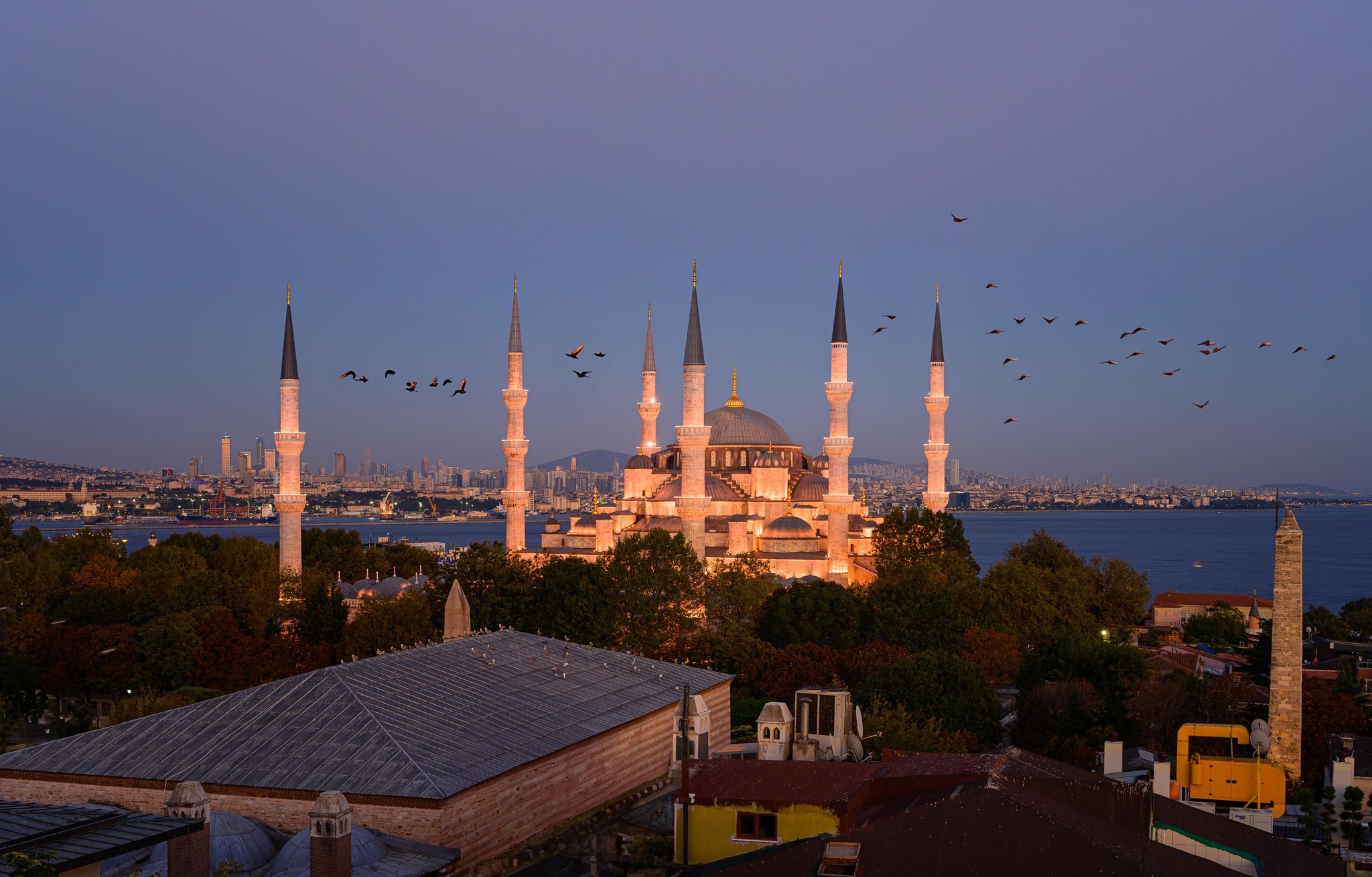 Istanbul's Hagia Sophia at Twilight with Bird Flight