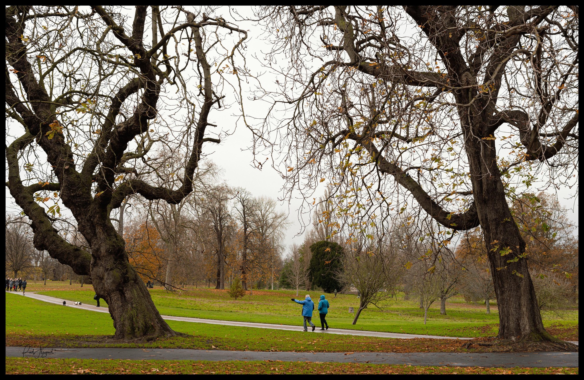 Autumnal Walk in a London Park